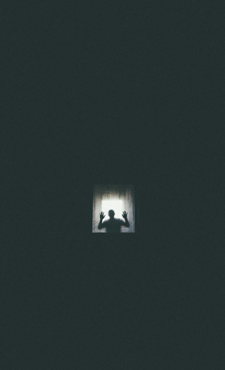 silhuoette of a person