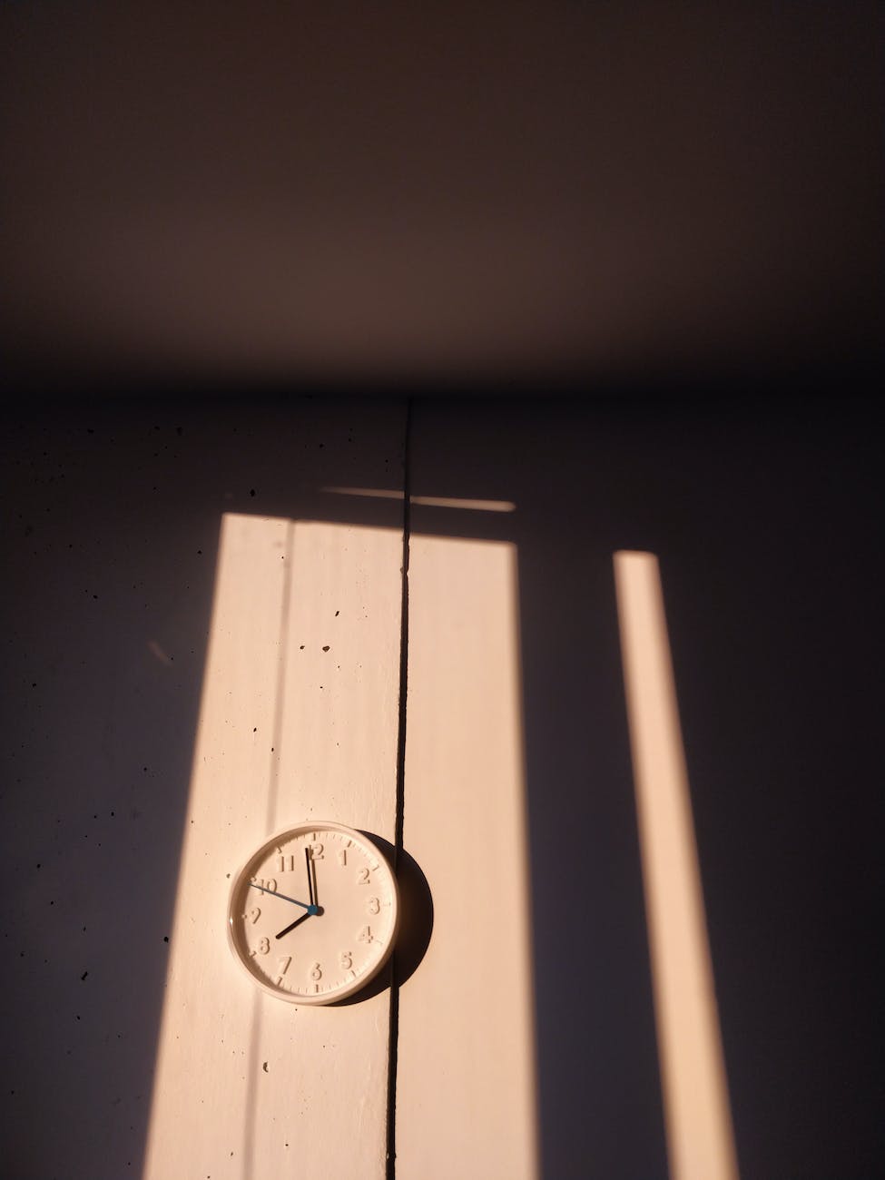 pexels-photo-2227122.jpeg